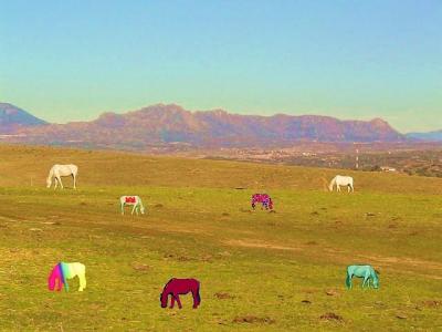 20100318200021-paisaje-con-caballos2.jpg